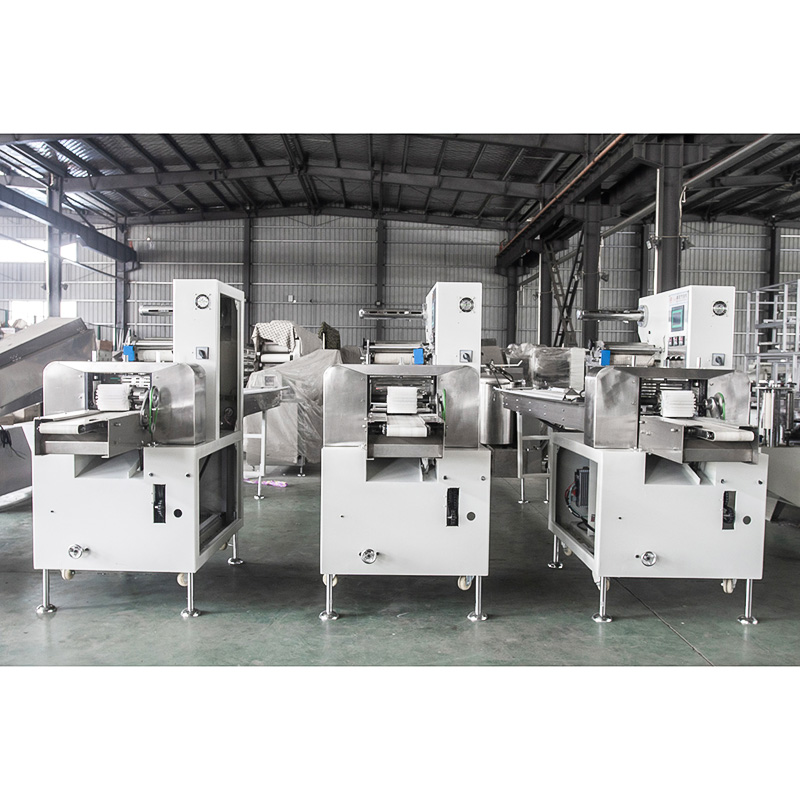 FLD-898B Pillow Packing Machine